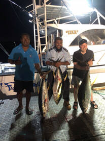 Nalovo Report Photo 2