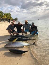 3 nice tuna on troling
