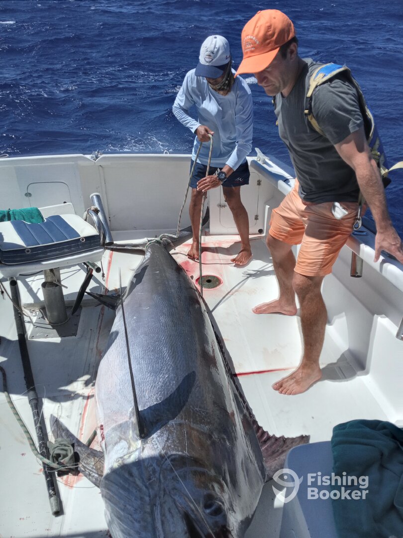 Le Morne Report Photo 0