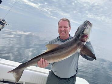 More cobia please!