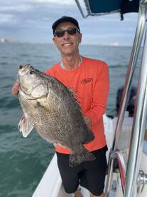 Awesome Teipletail Action