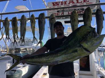 Islamorada Fishing full of surprises