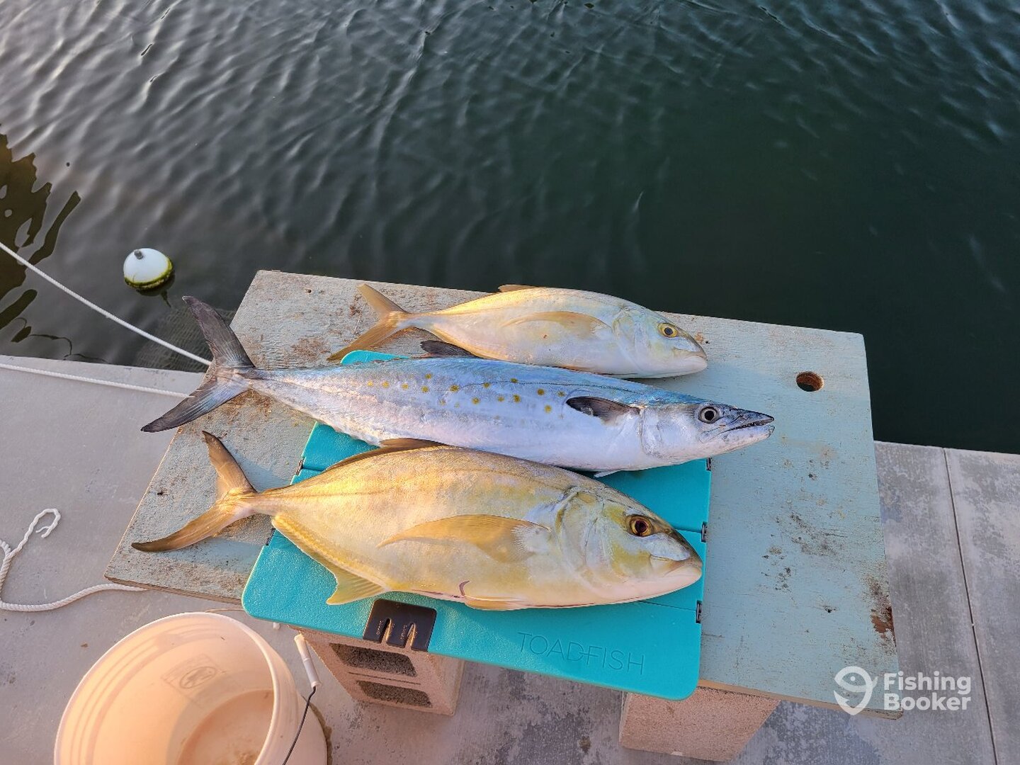 Cudjoe Key Report Photo 0