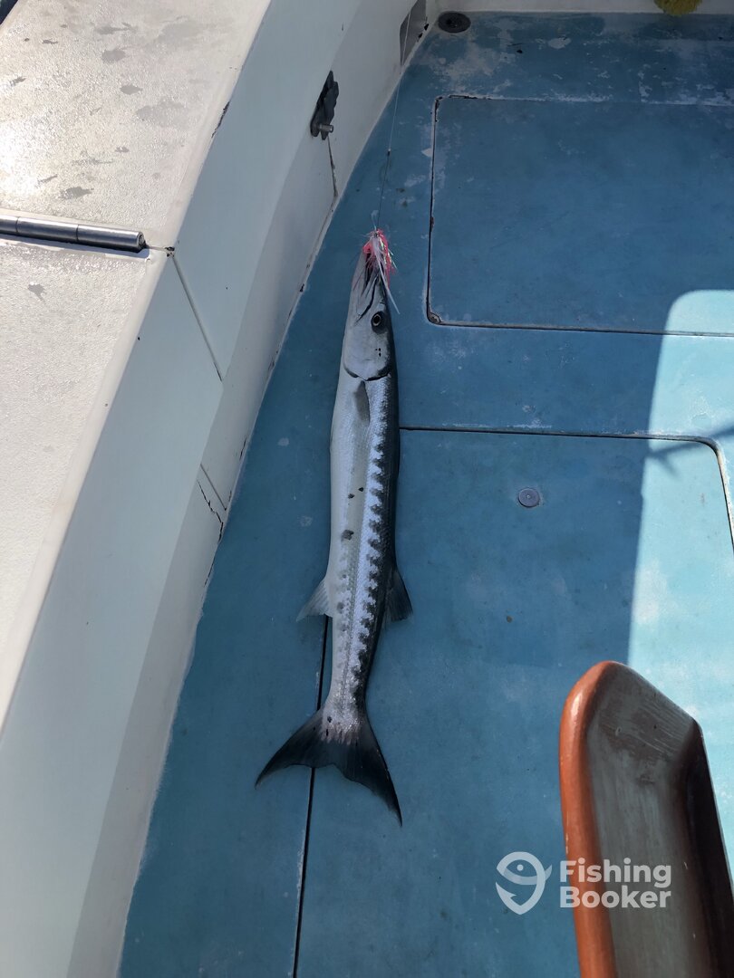 Boynton Beach Report Photo 0