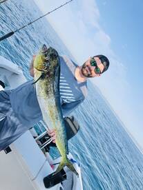 Puerto Vallarta Report Photo 2