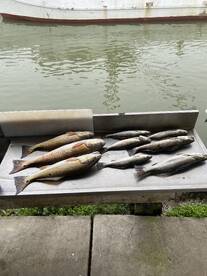 Galveston Report Photo 2