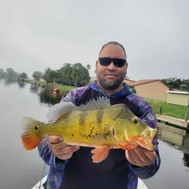Delray Beach Report Photo 1