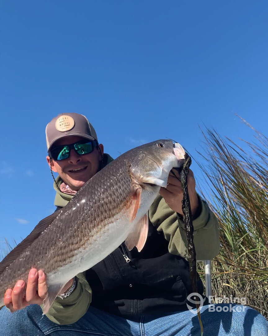 Folly Beach Report Photo 0