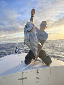 African Pompano at the ledge! 