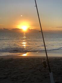 Cocoa Beach Report Photo 2