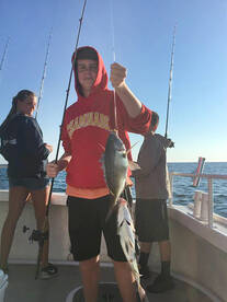 Montauk Report Photo 2