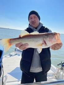 Grapevine Report Photo 1