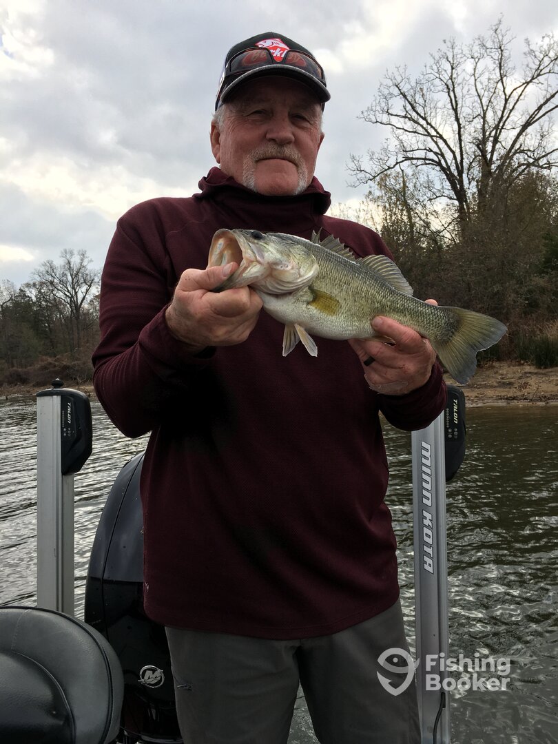 Quitman Report Photo 0