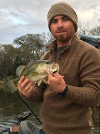 Quitman Report Photo 1