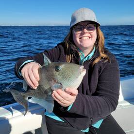 Shalimar Report Photo 1