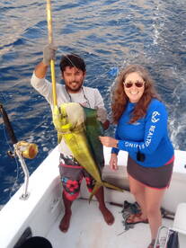 NICE SIZE MAHI MAHI' S