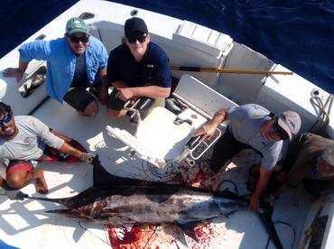 Manzanillo Report Photo 1