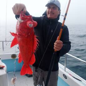Ensenada Report Photo 1