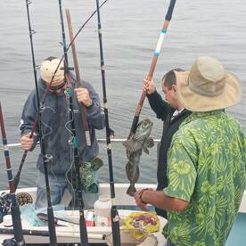 Ensenada Report Photo 1