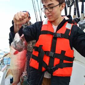Ensenada Report Photo 1
