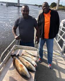 Jacksonville Report Photo 2