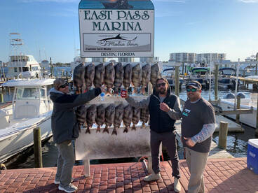 Destin Marina Report Photo 4