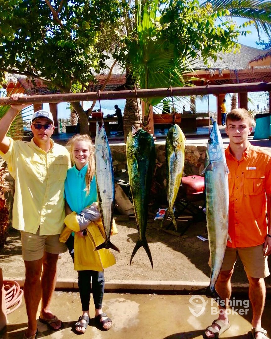 San Jose del Cabo Report Photo 0