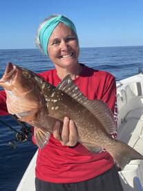 Belleair Bluffs Report Photo 2
