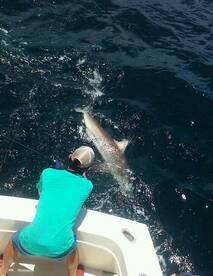 Fort Lauderdale Report Photo 2