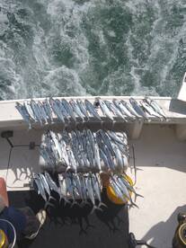 Port Canaveral Report Photo 2