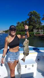 Catch a variety of species inshore 