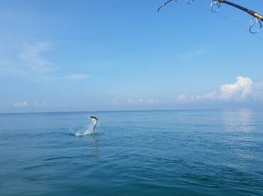 Destin Report Photo 2