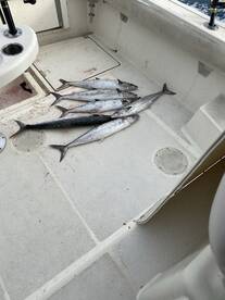 Fort Pierce Report Photo 1