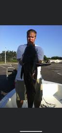 Jacksonville Report Photo 1