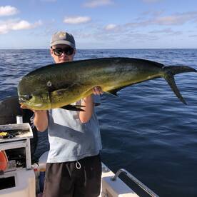 Dolphinfish