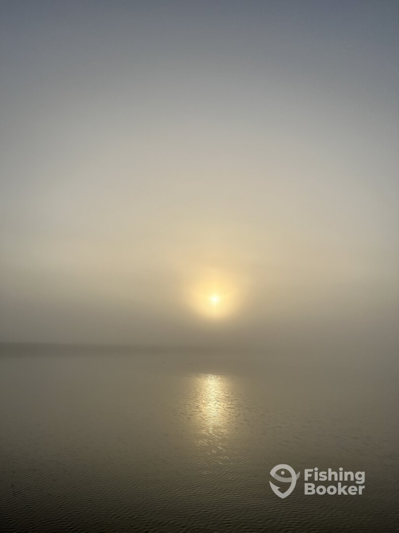 South Bay Report Photo 0