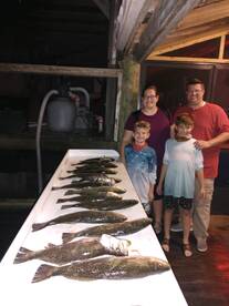 Crystal River Report Photo 2
