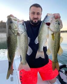 50+ Largemouth for one angler ! 