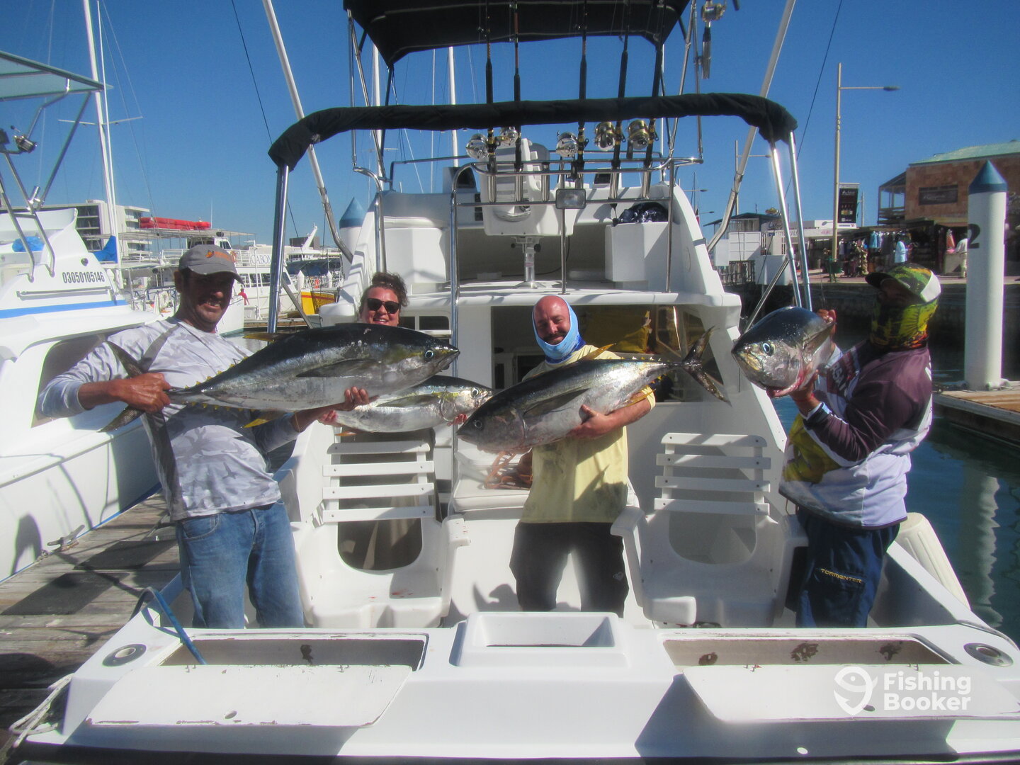 Cabo San Lucas Report Photo 0