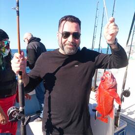Ensenada Report Photo 1