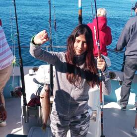 Ensenada Report Photo 2