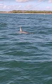 Port Canaveral Report Photo 2
