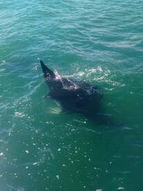 Port Canaveral Report Photo 1