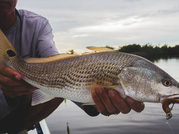 Fishing Report, Jan 5th, 2022