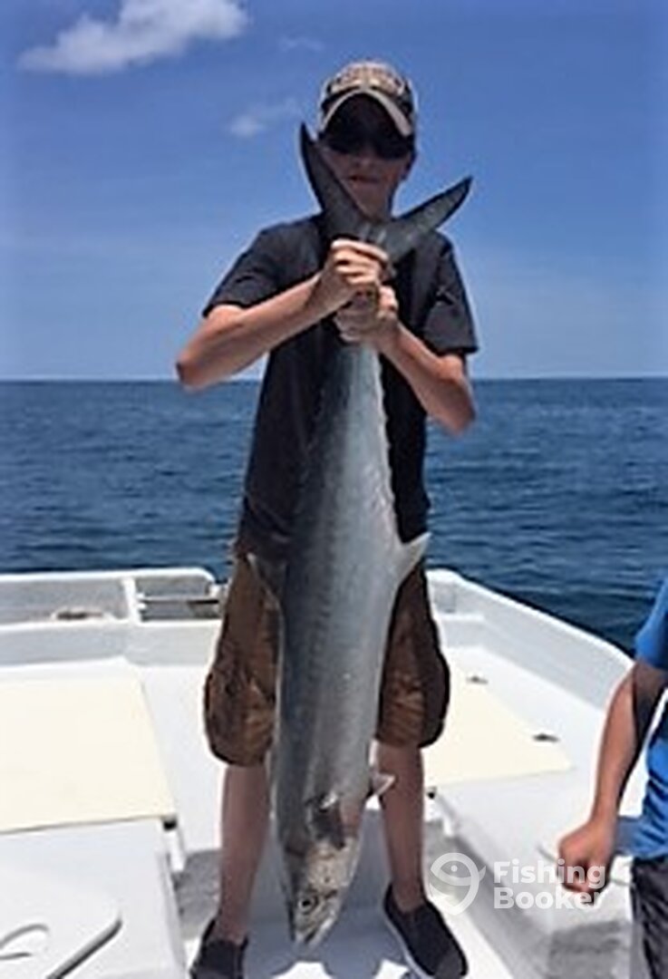 Kingfish