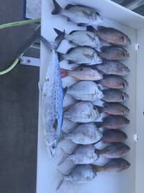 Islamorada Report Photo 1