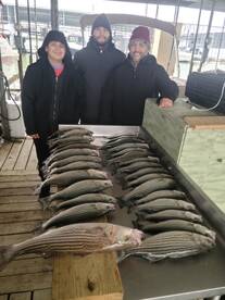 Pottsboro Report Photo 2