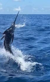 Around the world from Israel 