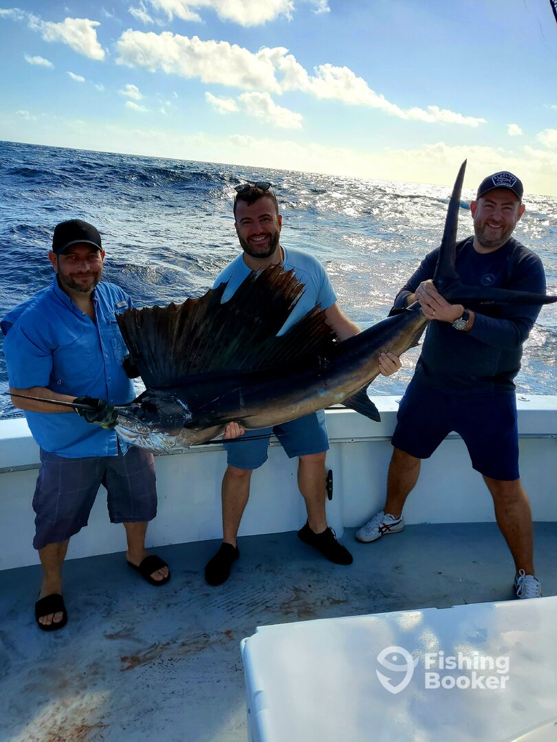 Dania Beach Report Photo 0