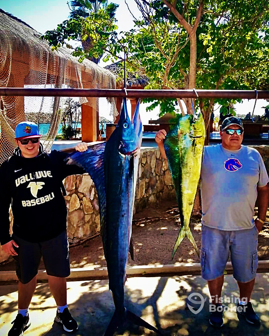 San Jose del Cabo Report Photo 0
